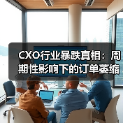 CXO行业暴跌真相：周期性影响下的订单萎缩与行业反思（图2）