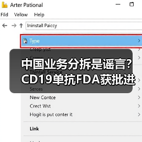 中国业务分拆是谣言?CD19单抗FDA获批进展(图4) 中国业务分拆是谣言?CD19单抗FDA获批进展(图4)