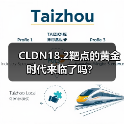 CLDN18.2靶点的黄金时代来临了吗?(图2) CLDN18.2靶点的黄金时代来临了吗?(图2)