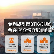 专利战引爆BTK抑制剂争夺 药企博弈影响创新药市场（图4）