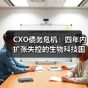 CXO债务危机:四年内扩张失控的生物科技困局(图2) CXO债务危机:四年内扩张失控的生物科技困局(图2)