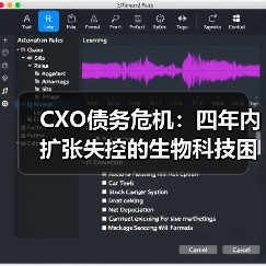 CXO债务危机:四年内扩张失控的生物科技困局(图4) CXO债务危机:四年内扩张失控的生物科技困局(图4)