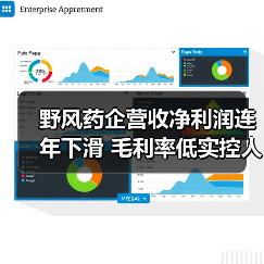 野风药企营收净利润连年下滑 毛利率低实控人曾涉P2P风险(图3) 野风药企营收净利润连年下滑 毛利率低实控人曾涉P2P风险(图3)