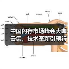 中国闪存市场峰会大咖云集,技术革新引领行业未来?(图3) 中国闪存市场峰会大咖云集,技术革新引领行业未来?(图3)