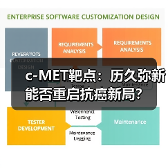 c-MET靶点:历久弥新能否重启抗癌新局?(图3) c-MET靶点:历久弥新能否重启抗癌新局?(图3)