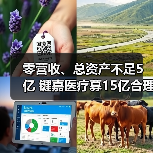 零营收、总资产不足5亿 键嘉医疗募15亿合理性存疑？（图2）