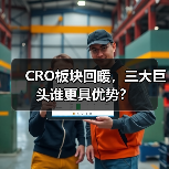 CRO板块回暖，三大巨头谁更具优势？（图3）