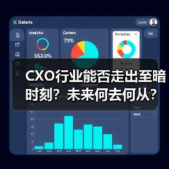 CXO行业能否走出至暗时刻？未来何去何从？（图2）