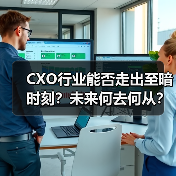 CXO行业能否走出至暗时刻？未来何去何从？（图1）