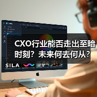 CXO行业能否走出至暗时刻？未来何去何从？（图3）