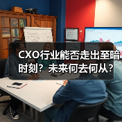 CXO行业能否走出至暗时刻？未来何去何从？（图4）