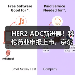 HER2 ADC新进展！科伦药业申报上市，京东健康营收破百亿（图2）