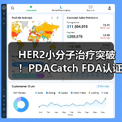 HER2小分子治疗突破！PDACatch FDA认证，药企布局加速？（图1）