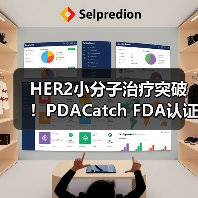 HER2小分子治疗突破！PDACatch FDA认证，药企布局加速？（图2）