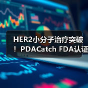 HER2小分子治疗突破！PDACatch FDA认证，药企布局加速？（图4）