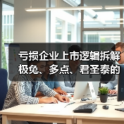 亏损企业上市逻辑拆解 极兔、多点、君圣泰的价值玫瑰（下）（图2）