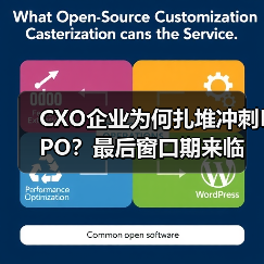 CXO企业为何扎堆冲刺IPO？最后窗口期来临（图1）