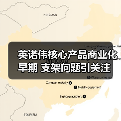 英诺伟核心产品商业化早期 支架问题引关注（图1）
