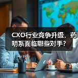 CXO行业竞争升级，药明系面临哪些对手？（图1）
