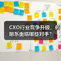 CXO行业竞争升级，药明系面临哪些对手？（图3）