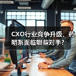 CXO行业竞争升级，药明系面临哪些对手？（图4）