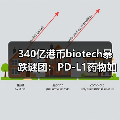 340亿港币biotech暴跌谜团:PD-L1药物如何支撑神话?(图3) 340亿港币biotech暴跌谜团:PD-L1药物如何支撑神话?(图3)