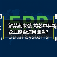 解禁潮来袭 龙芯中科等企业能否逆风翻盘？（图2）