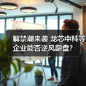 解禁潮来袭 龙芯中科等企业能否逆风翻盘？（图4）