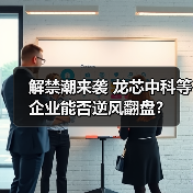 解禁潮来袭 龙芯中科等企业能否逆风翻盘？（图3）
