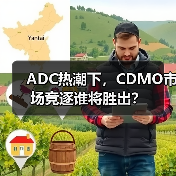 ADC热潮下，CDMO市场竞逐谁将胜出？（图4）