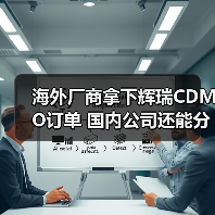海外厂商拿下辉瑞CDMO订单 国内公司还能分羹吗？（图4）