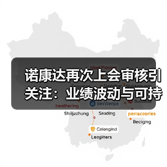 诺康达再次上会审核引关注：业绩波动与可持续性争议（图4）