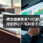 腾龙健康募资10亿能否撑起野心?毛利率下滑与外销风险引质疑(图3) 腾龙健康募资10亿能否撑起野心?毛利率下滑与外销风险引质疑(图3)