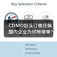 CDMO巨头订单狂飙,国内企业为何难接单?(图3) CDMO巨头订单狂飙,国内企业为何难接单?(图3)