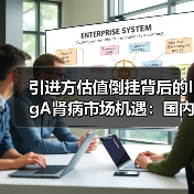 引进方估值倒挂背后的IgA肾病市场机遇：国内投资者为何狂热？（图4）