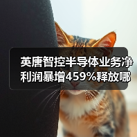 英唐智控半导体业务净利润暴增459%释放哪些信号（图4）