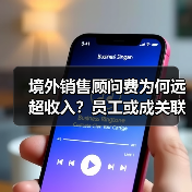 境外销售顾问费为何远超收入?员工或成关联方隐秘布局(图2) 境外销售顾问费为何远超收入?员工或成关联方隐秘布局(图2)