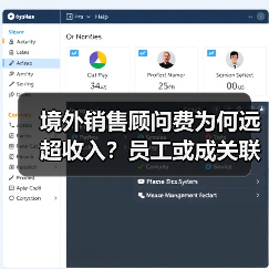 境外销售顾问费为何远超收入?员工或成关联方隐秘布局(图4) 境外销售顾问费为何远超收入?员工或成关联方隐秘布局(图4)