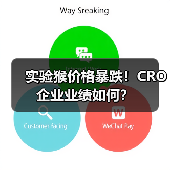 实验猴价格暴跌!CRO企业业绩如何?(图4) 实验猴价格暴跌!CRO企业业绩如何?(图4)