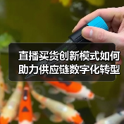 直播买货创新模式如何助力供应链数字化转型？（图1）