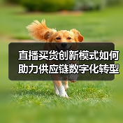直播买货创新模式如何助力供应链数字化转型？（图3）