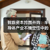 智路资本跨国并购：半导体产业不确定性中的确定性增长策略（图4）