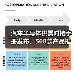 汽车半导体供需对接手册发布，568款产品推动产业链协同发展（图3）