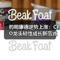 药明康德逆势上涨:CRO龙头韧性成长新范式(图4) 药明康德逆势上涨:CRO龙头韧性成长新范式(图4)