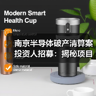 南京半导体破产清算案投资人招募：揭秘项目现状与投资机遇（图3）