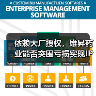依赖大厂授权，维昇药业能否突围亏损实现IPO？（图4）