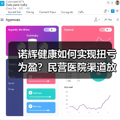 诺辉健康如何实现扭亏为盈？民营医院渠道放量背后的战略布局（图3）
