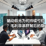 脑动极光为何持续亏损？毛利率暴降背后的隐忧（图1）