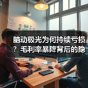 脑动极光为何持续亏损？毛利率暴降背后的隐忧（图2）