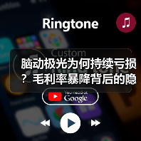 脑动极光为何持续亏损？毛利率暴降背后的隐忧（图3）